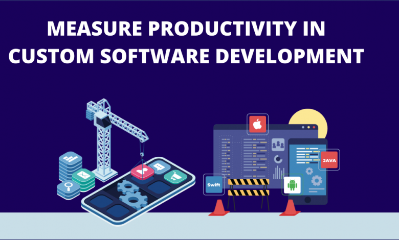 Custom Software Development productivity