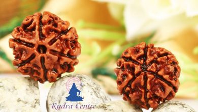 Photo of Significance of Rudraksha and It’s Types