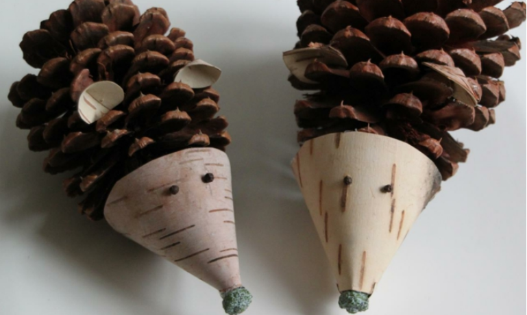 What to make with pine cones fun ideas