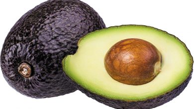 Photo of Avocado Seeds Is The Best Benefits Of Health