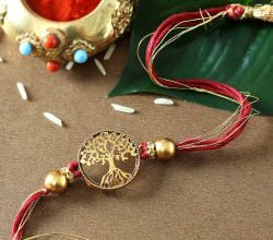 Photo of Different Ways in Which a Single Child Can Celebrate Raksha Bandhan