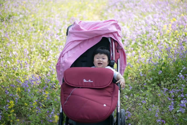 Photo of How to wash a double jogging stroller