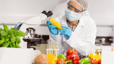 Photo of Global Food Safety Testing Market by Target Tested