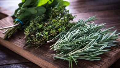 Photo of Tired Of Wasting Fresh Herbs?