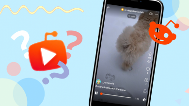 Photo of NEW Reddit Video Feed: Everything You Need to Know