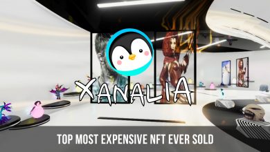 Photo of Top Most Expensive NFT ever Sold