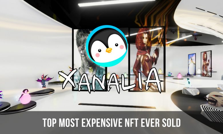 Photo of Top Most Expensive NFT ever Sold
