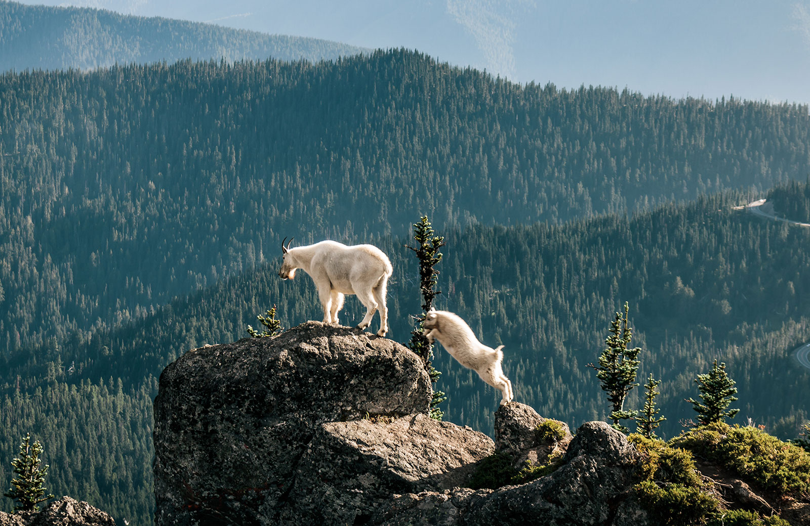 Olympic National Park