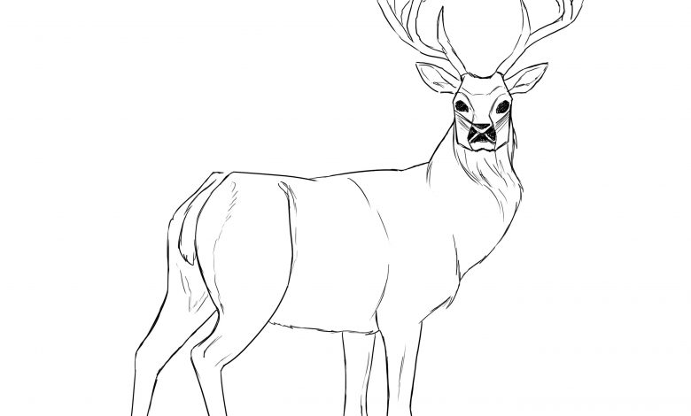 Deer Drawing