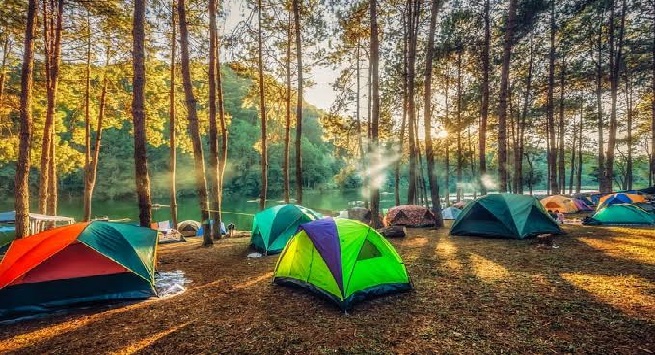 Research Camping trips in the United States