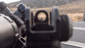 Open Sights Iron Sights