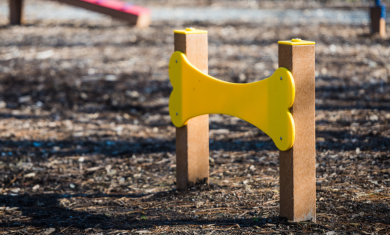 dog playground equipment