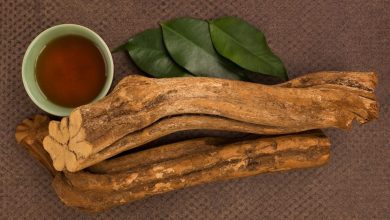 Photo of “Could Ayahuasca Be The Cure For Depression?”