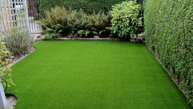 Photo of Synthetic Grass And Its Uses