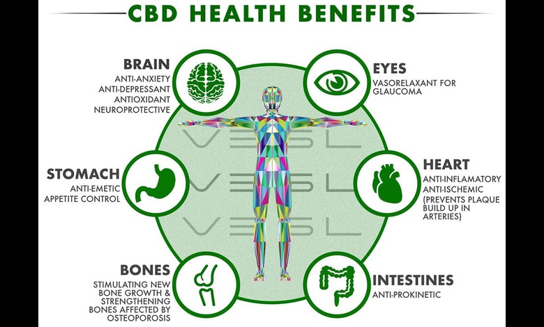 Photo of Cannabidiol (CBD): What Are The Benefits Of CBD?