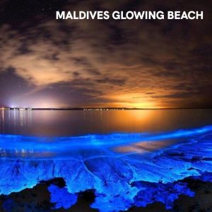 Maldives Glowing Beach