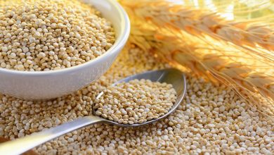 Photo of Quinoa And Diabetes: What Are The Benefits?