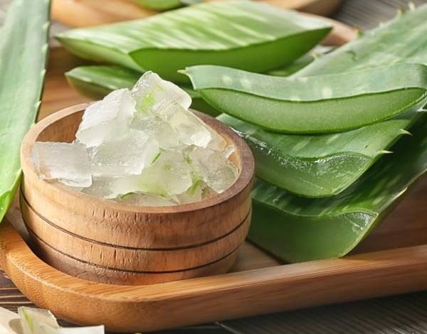 Photo of Why You Should Use Aloe Vera Gel on Your Hair Right Now