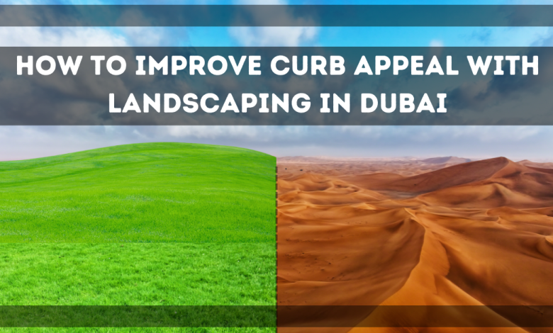 How to Improve Curb Appeal With Landscaping In Dubai