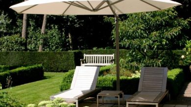 Photo of Parasols in Your Outdoor Area – Know how is it Beneficial