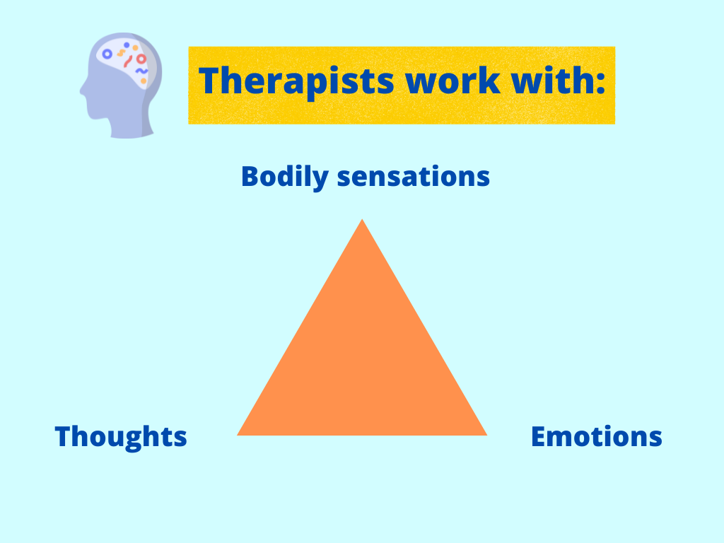 The following image represents three main components the physiotherapists work with: bodily sensations, thoughts, emotions 