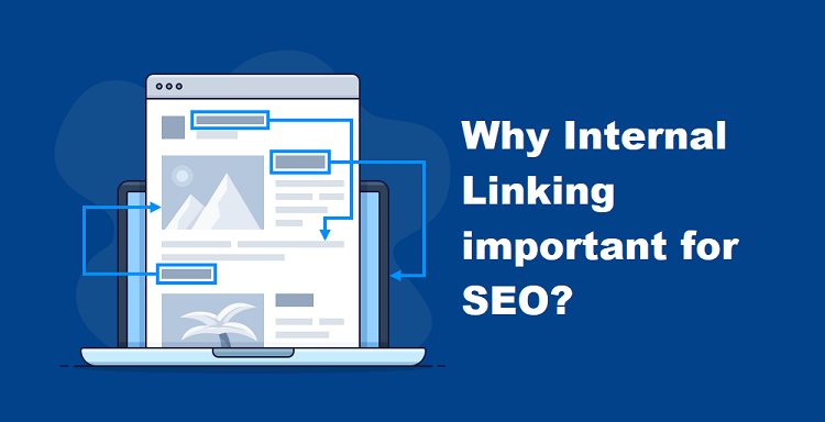 Photo of Why internal Linking important for SEO?- DoFollow Links or NoFollow Links?