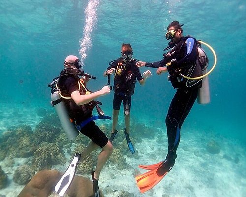 Photo of The Excitement of Diving in Egypt for Fun