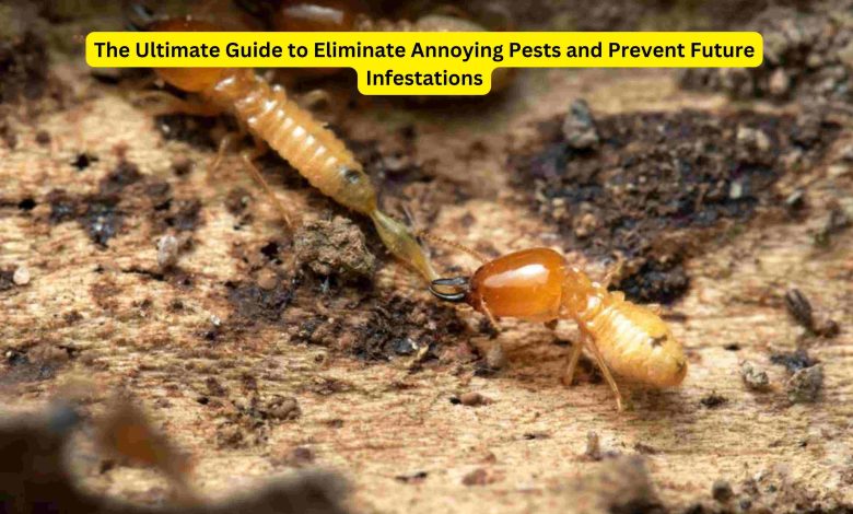 Photo of The Ultimate Guide to Eliminate Annoying Pests and Prevent Future Infestations