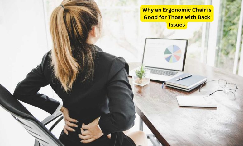 An ergonomic chair is specifically designed to support the natural curves of your spine and promote good posture, making it an excellent