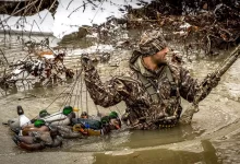 Photo of Why the Best Duck Calls Are Essential for Your Hunting Gear