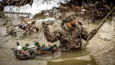 Photo of Why the Best Duck Calls Are Essential for Your Hunting Gear