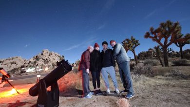 Photo of From Hiking to Stargazing: Outdoor Activities in Joshua Tree