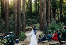 Photo of Discover the Beauty of Redwood Forest Wedding Venues