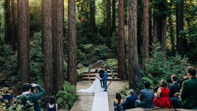 Photo of Discover the Beauty of Redwood Forest Wedding Venues